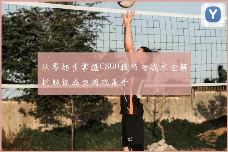 从零起步掌握CSGO技巧与战术全解析助你成为游戏高手