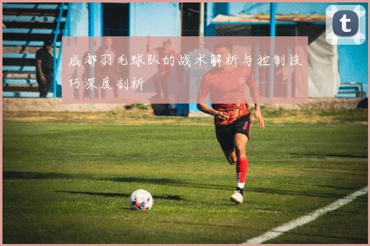 成都羽毛球队的战术解析与控制技巧深度剖析