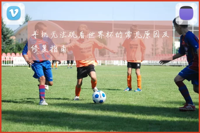手机无法观看世界杯的常见原因及修复指南