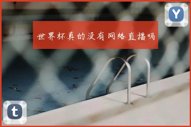 世界杯真的没有网络直播吗