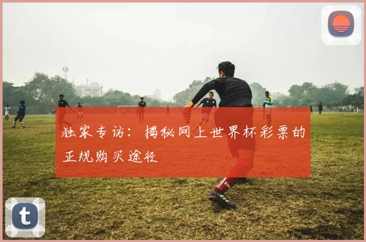 独家专访：揭秘网上世界杯彩票的正规购买途径