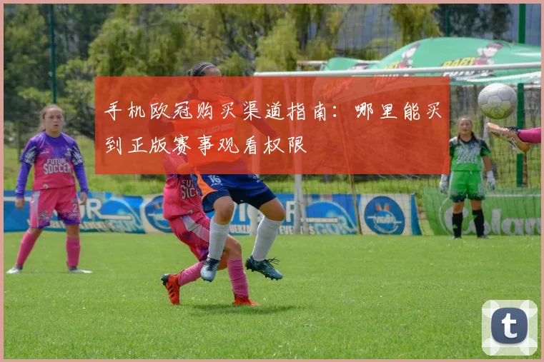 手机欧冠购买渠道指南：哪里能买到正版赛事观看权限