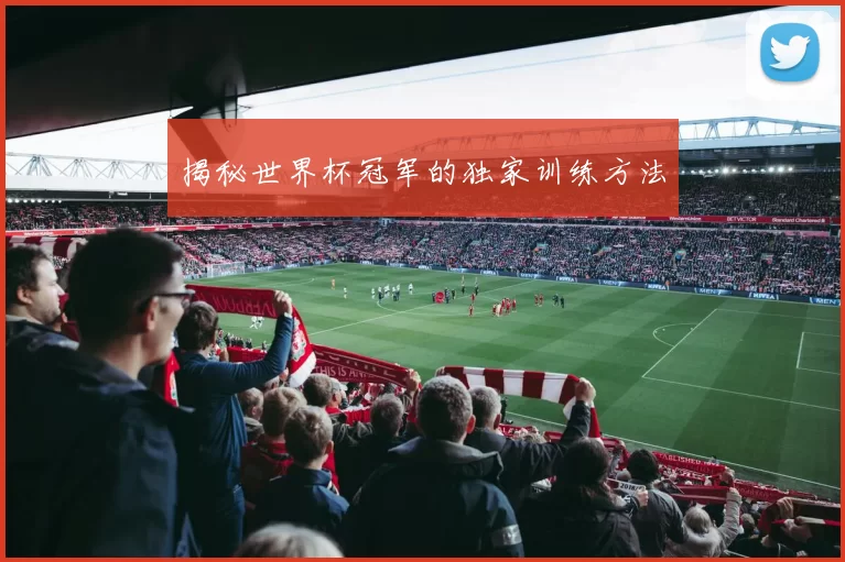 揭秘世界杯冠军的独家训练方法