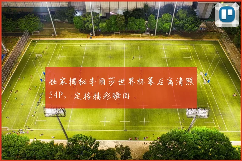 独家揭秘李丽莎世界杯幕后高清照54P,定格精彩瞬间