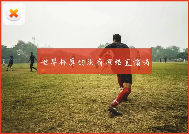 世界杯真的没有网络直播吗